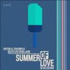 Download track Summer Of Love (Vigel Radio Edit) (With Kyler England)