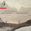 Download track Winterreise, D. 911- Erstarrung