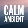 Download track Ambient Mood