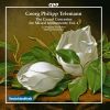 Download track Concerto For Oboe, Violin, 2 Horns, Strings And Continuo In F Major, TWV 54: F1 | III. Vivace Da Capo