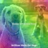 Download track Dream Like Ambiance For Cute Puppies