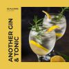 Download track Another Gin & Tonic