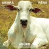 Download track Ê! (Canto XIII) [Escutura: Aurora]