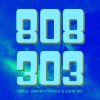 Download track 808 / 303