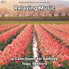 Download track Relaxing Music, Pt. 66