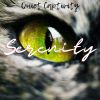 Download track Serenity Sessions