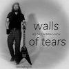 Download track Walls Of Tears (Al Biber Instrumental Remix)