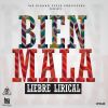 Download track Bien Mala (Plan B)