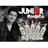 Download track Arrocha E Big Apple