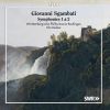 Download track Symphony No. 2 In E-Flat Major: I. Andante Sostenuto - Agitato