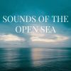 Download track Open Sea