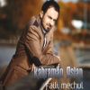 Download track Usandım