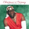 Download track Christmas Is Parang