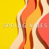 Download track Spring Vibes (Instrumental)