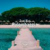 Download track Palombaggia (New Horizons Remix)