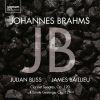 Download track Brahms Clarinet Sonata No. 2 In E-Flat Major, Op. 120 III. Andante Con Moto — Allegro