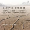 Download track Poética Del Laberinto II. Klimmen En Dalen