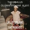 Download track Life Of Dreams (Jungle Remix)