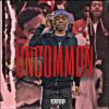 Download track Uncommon (Intro)