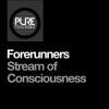 Download track Stream Of Consciousness (Extended Mix)