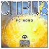 Download track Citrus (Atlantic Tribe Remix)