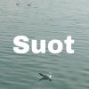 Download track Suot