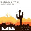 Download track Nevicata (Natural Rhythm Remix)