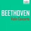 Download track Violin Concerto In D Major, Op. 61: II. Larghetto (2)
