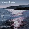 Download track Catalogue D'oiseaux, I / 42 (Excerpts): No. 3, Le Merle Bleu