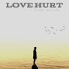 Download track Love Hurt