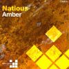 Download track Amber (Thomas Datt Remix)
