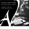 Download track Sonate No. 1 Pour Violon Et Piano En Ré Mineur, Op. 75 IIb. Allegro Molto