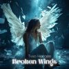 Download track Broken Wings (Instrumental Edit)