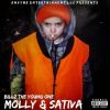 Download track Molly & Sativa (Intro)