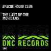 Download track The Last Of The Mohicans (Original Mix)