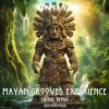 Download track Pan Flute Dub Riddim Experience