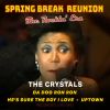 Download track He's Sure The Boy I Love (Live 1987 From Spring Break Reunion)