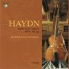 Download track Baryton Trio No. 93 In C Major Hob. XI: 93 - III. Finale. Presto