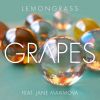 Download track Grapes (Roberto Bronco Remix)