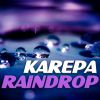 Download track Raindrop