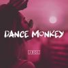 Download track Dance Monkey (Panico & Skar Remix)