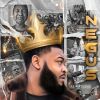 Download track Negus