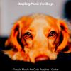 Download track Glorious Jazz Guitar Trio - Vibe For Lonely Dogs