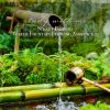 Download track Steady Bamboo Water Fountain Flowing Ambience, Pt. 1