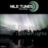 Download track Northern Lights (Original Mix)