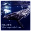 Download track Whale Song XII - The Night Watch