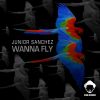 Download track Wanna Fly (Original Mix)