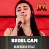 Download track Bedelcan (Dawet Zindi)