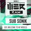 Download track Go (Welcome To My World) (Edit)