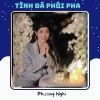 Download track Tình Yêu Tình Yêu